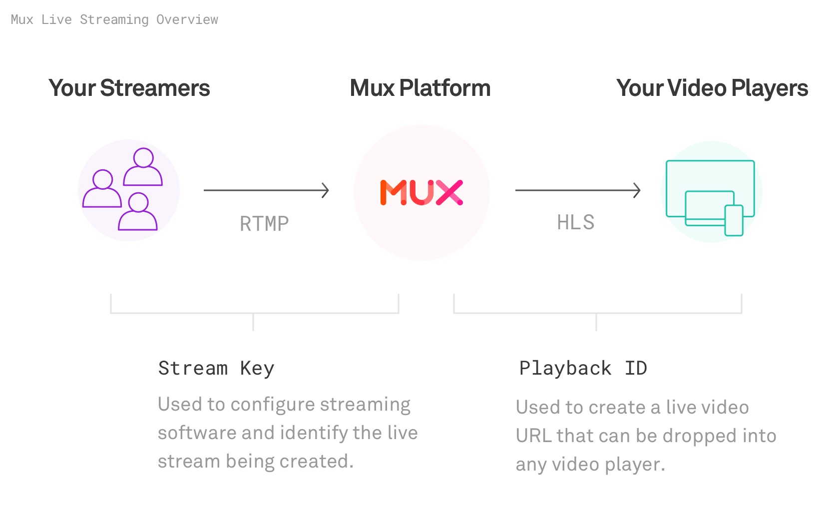 Your Guide to Live Streaming Apps: Stream from your App